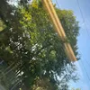 marlonmg80