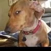 side_eye_9716