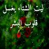 user6667083617815