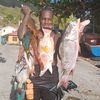 magloire.alvin