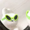 bunnidoodles