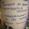 user13130183848117