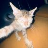 wildonsudahenjoy5