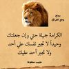 user7961767233720