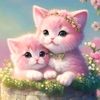tanbir.ahmed790