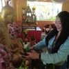 yaya.orawan