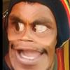 insannyata