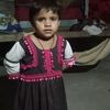 hidar.ali203