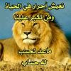 aimaysa4
