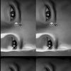 dmvyryl.vasquez7