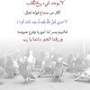 An ابو ربى 🌹
