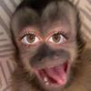 micah.murphy6