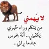 user78879097663131