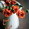 khadija.lamrani0