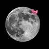 nesrin.15_