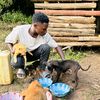 mosedogrescue