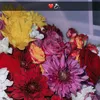 bahasht.a.abdulla