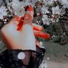 amelboulacheb7