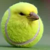maximlu123