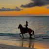 beach.cowgirl.books