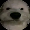 ivanelcrack03