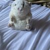 paper_squisheys_123