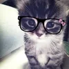 urfav.rosie