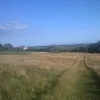 angrystrawhat