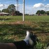 brayan_07030