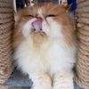 mysittingstory