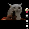 catmannnnnnnnn