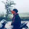 nodep007