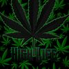 lilblaze132