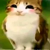 w4ter88