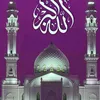 user800702986173239