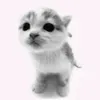 hey_bro2297