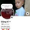 th.v.ging26