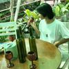 nann.oo.khin6