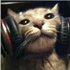 siemexwjt7c