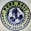 pureball.ent