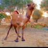 user7300816051173