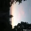 cucu_aa