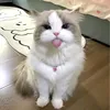 haoznc