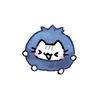 noa.krins