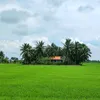 cong.nhi15018993