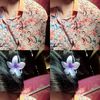 elma.desviana2