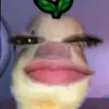 itzmelenn0x