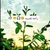 user2102266052126
