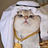 ramin_mohammadi81