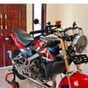 wong.gabut7995